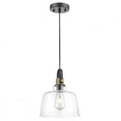 Arie 1-light Black/Brass/Clear ​Pendant Light with Glass Shad by Light Society -Hot Sale Light Society Store black brass clear light society chandeliers ls c529 cl brs 44 1000