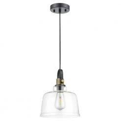 Arie 1-light Black/Brass/Clear ​Pendant Light with Glass Shad by Light Society -Hot Sale Light Society Store black brass clear light society chandeliers ls c529 cl brs 4f 1000