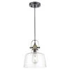 Arie 1-light Black/Brass/Clear ​Pendant Light with Glass Shad by Light Society -Hot Sale Light Society Store black brass clear light society chandeliers ls c529 cl brs 64 1000