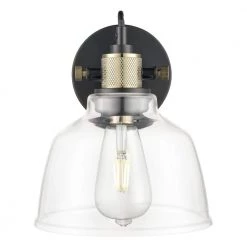 Arie 1-Light Black/Brass/Clear Wall Sconce with Glass Shade by Light Society