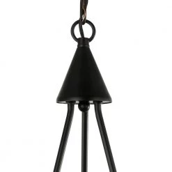 Petra 3-Light Black/Brass Chandelier with Clear Glass Shades by Light Society -Hot Sale Light Society Store black brass light society chandeliers ls c358 bk brs 44 1000