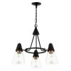 Petra 3-Light Black/Brass Chandelier with Clear Glass Shades by Light Society -Hot Sale Light Society Store black brass light society chandeliers ls c358 bk brs 64 1000