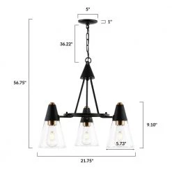 Petra 3-Light Black/Brass Chandelier with Clear Glass Shades by Light Society -Hot Sale Light Society Store black brass light society chandeliers ls c358 bk brs 76 1000