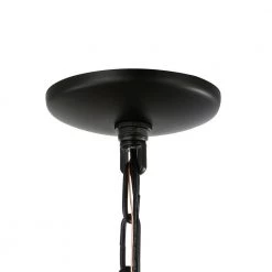 Petra 3-Light Black/Brass Chandelier with Clear Glass Shades by Light Society -Hot Sale Light Society Store black brass light society chandeliers ls c358 bk brs fa 1000