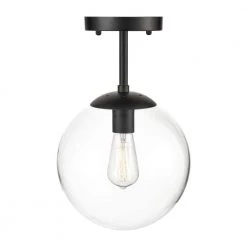 Zeno 1-Light Black/Clear Globe Ceiling Light with Glass Shade by Light Society -Hot Sale Light Society Store black clear light society chandeliers ls c176 bk cl 1f 1000