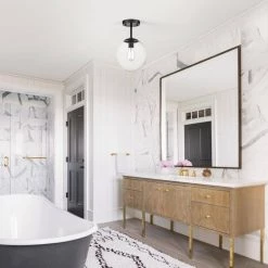 Zeno 1-Light Black/Clear Globe Ceiling Light with Glass Shade by Light Society -Hot Sale Light Society Store black clear light society chandeliers ls c176 bk cl 31 1000