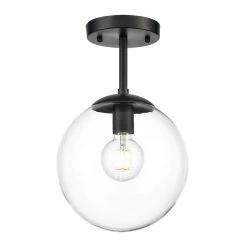 Zeno 1-Light Black/Clear Globe Ceiling Light with Glass Shade by Light Society