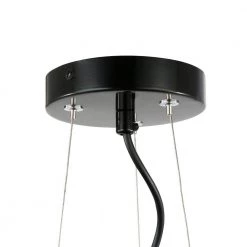Enzo1-Light Black/Clear Pendant with Glass Shade by Light Society -Hot Sale Light Society Store black clear light society chandeliers ls c395 bk cl 44 1000