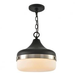1-Light Black Pendant with Frosted Shade Diffuser by DSI LIGHTING 12 1-Light Black Pendant with Frosted Shade Diffuser by DSI LIGHTING -Hot Sale Light Society Store black dsi lighting chandeliers ds18951 44 1000