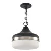 1-Light Black Pendant with Frosted Shade Diffuser by DSI LIGHTING