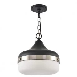 1-Light Black Pendant with Frosted Shade Diffuser by DSI LIGHTING