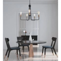 Edison 24.50 in. 5-Light Black Chandelier with Vintage Edison Bulbs by DSI LIGHTING -Hot Sale Light Society Store black dsi lighting chandeliers ds18958 31 1000