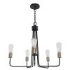 Edison 24.50 in. 5-Light Black Chandelier with Vintage Edison Bulbs by DSI LIGHTING -Hot Sale Light Society Store black dsi lighting chandeliers ds18958 64 1000