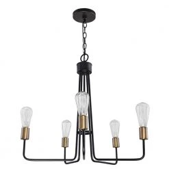 Edison 24.50 in. 5-Light Black Chandelier with Vintage Edison Bulbs by DSI LIGHTING