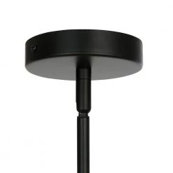 Trieste 12-Light Black/Frosted Chandelier with Glass Shades by Light Society 16 Trieste 12-Light Black/Frosted Chandelier with Glass Shades by Light Society -Hot Sale Light Society Store black frosted light society chandeliers ls c416 bk fr fa 1000