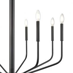 Philippe 8-Lights Black Chandelier by Light Society -Hot Sale Light Society Store black light society chandeliers ls c516 blk fa 1000