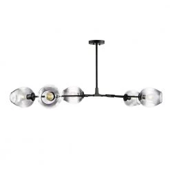 Thurston 5-Light Black/Smokey Chandelier with Glass Shades by Light Society
