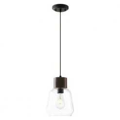Faye 1-Light Black Wood/Clear Pendant with Glass Shade by Light Society