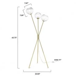 Medusi 65.75 in. Brushed Brass/Clear Floor Lamp with Glass Shades by Light Society 14 Medusi 65.75 in. Brushed Brass/Clear Floor Lamp with Glass Shades by Light Society -Hot Sale Light Society Store brushed brass clear light society floor lamps ls f440 bb cl fa 1000