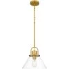 Balfour 1-Light Brushed Gold Pendant with Clear Seedy Glass Shade by DSI LIGHTING
