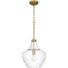 Camlyn 1-Light Brushed Gold Shaded Pendant with Clear Hammered Glass Shade by DSI LIGHTING -Hot Sale Light Society Store brushed gold dsi lighting chandeliers hd7184a2 64 1000
