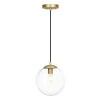 Zeno 1-Light Clear/Brass Globe Pendant with Glass Shade by Light Society -Hot Sale Light Society Store clear brass light society chandeliers ls c175 bb cl 64 1000