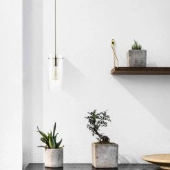 Montreal 1-Light Clear/Satin Nickel Pendant with Glass Shade by Light Society -Hot Sale Light Society Store clear satin nickel light society chandeliers ls c237 sn cl 31 1000