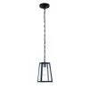 Serendipity 1-Light Matte Black/Clear Pendant with Glass Shade by Light Society