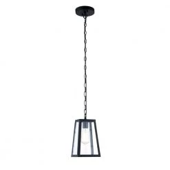 Serendipity 1-Light Matte Black/Clear Pendant with Glass Shade by Light Society