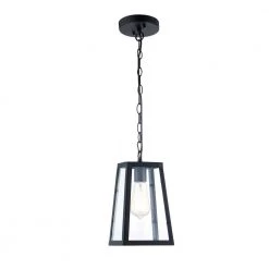 Serendipity 1-Light Matte Black/Clear Pendant with Glass Shade by Light Society -Hot Sale Light Society Store matte black clear light society chandeliers ls c113 c3 1000