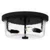 Bennington 11 in. 2-Light Matte Black Flush Mount with Water Glass Shade by DSI LIGHTING